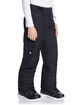 QUIKSILVER Porter Boys Black Snow Pants image number 2