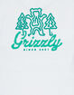 GRIZZLY Windy Creek Mens Tee image number 3