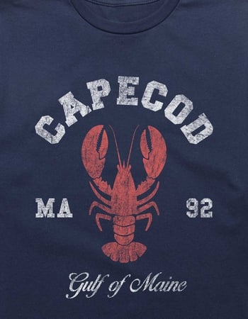 CAPE COD Lobster Maine Unisex Tee Alternative Image
