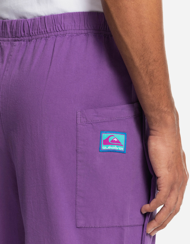 QUIKSILVER x Stranger Things The Argyle 2 Mens Pants image number 7