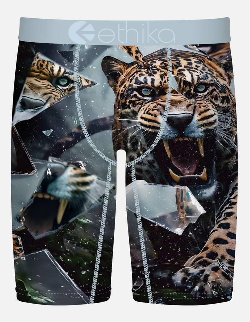 ETHIKA Shatter Cat Staple Boys Boxer Briefs image number 0