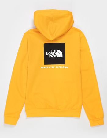 THE NORTH FACE Evolution Box NSE Mens Hoodie Primary Image