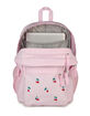 JANSPORT Big Plans FX Backpack image number 4