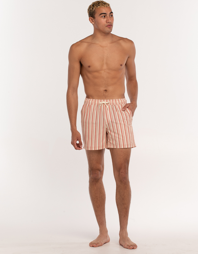 RSQ Simple Stripe Mens 5" Swim Shorts image number 7
