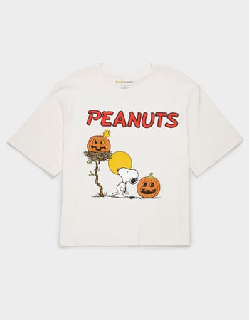 RSQ x Peanuts Pumpkins Mens Boxy Tee Primary Image