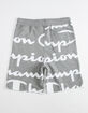 CHAMPION Giant Script Heather Gray Boys Sweat Shorts image number 2