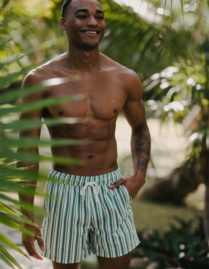 RSQ Simple Stripe Mens 5" Swim Shorts image number 0