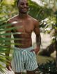 RSQ Simple Stripe Mens 5" Swim Shorts image number 1