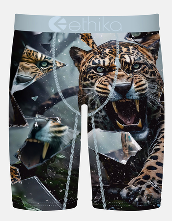 ETHIKA Shatter Cat Staple Mens Boxer Briefs Primary Image