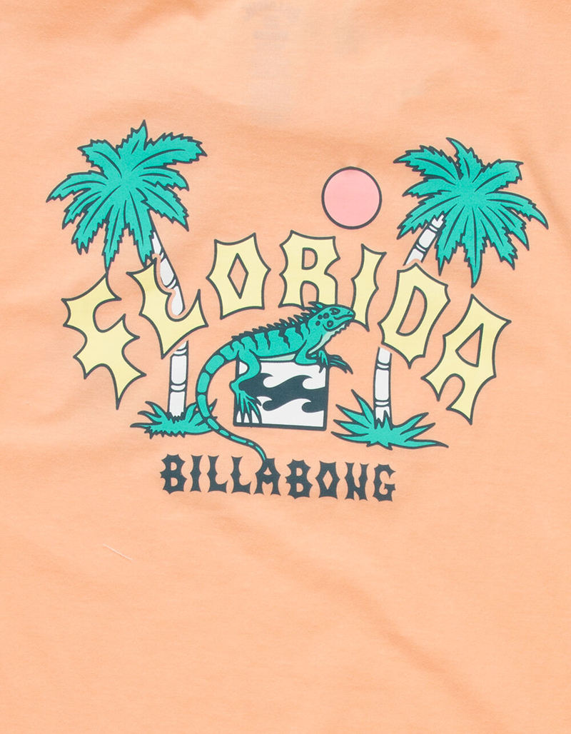 BILLABONG Arch Florida Mens T-Shirt image number 3