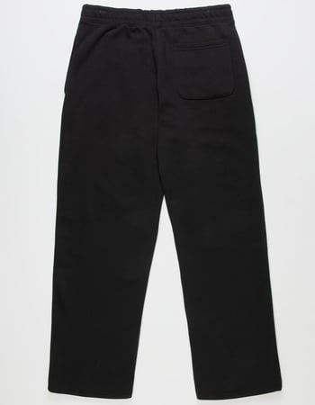 THE NORTH FACE Evolution Straight Leg Mens Sweatpants Alternative Image