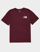 THE NORTH FACE Coordinates Mens Tee - BURGUNDY
