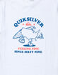 QUIKSILVER Surging USA Boys Tee image number 2