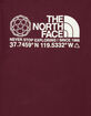 THE NORTH FACE Coordinates Mens Tee image number 3