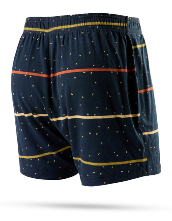 STANCE Butter Blend™ Mens Boxers Alternative Image