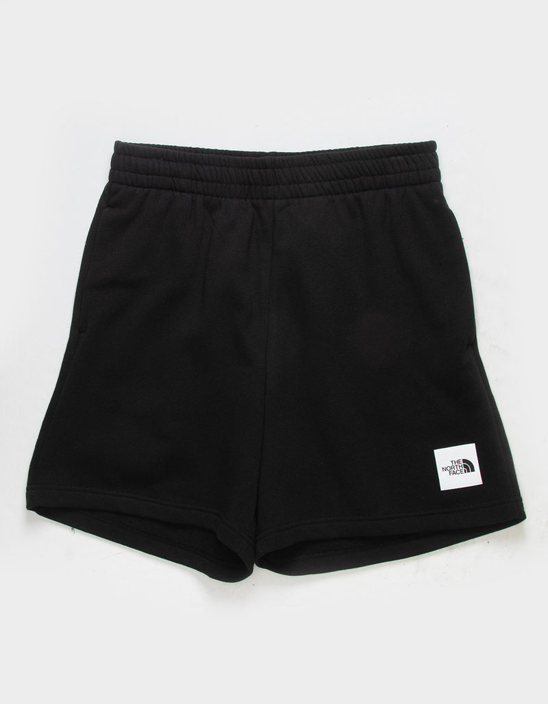 THE NORTH FACE Box NSE Mens Shorts image number 1