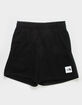 THE NORTH FACE Box NSE Mens Shorts image number 2