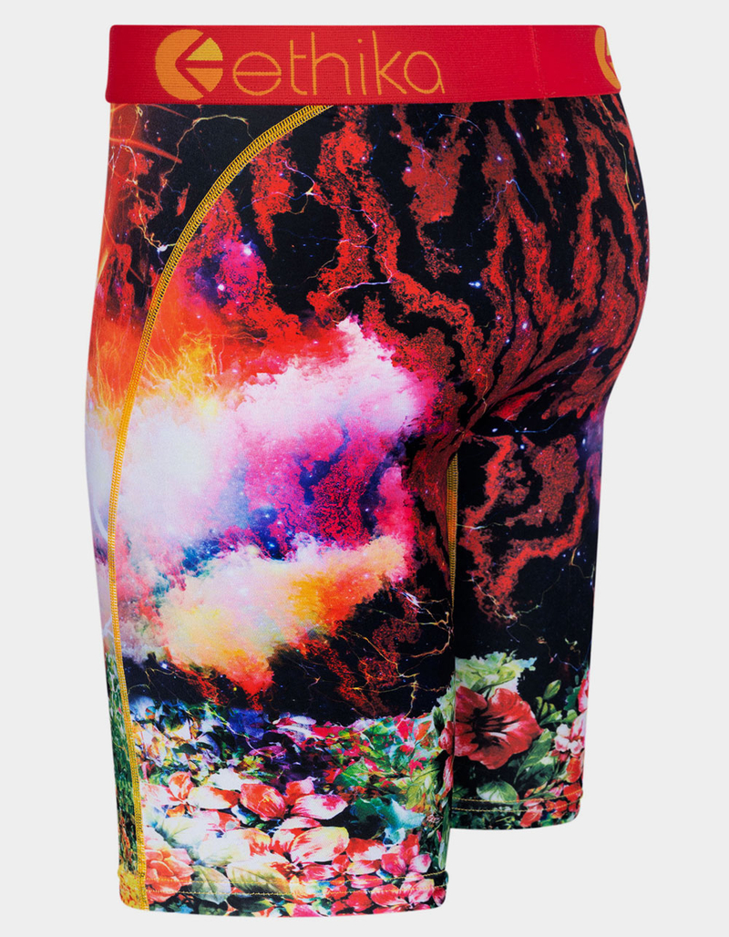 ETHIKA Tiger Storm Staple Mens Boxer Briefs image number 1