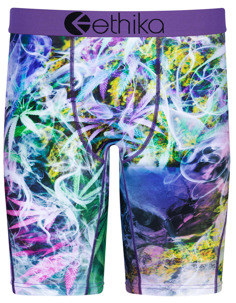 ETHIKA High Standards Staple Mens Boxer Briefs image number 0