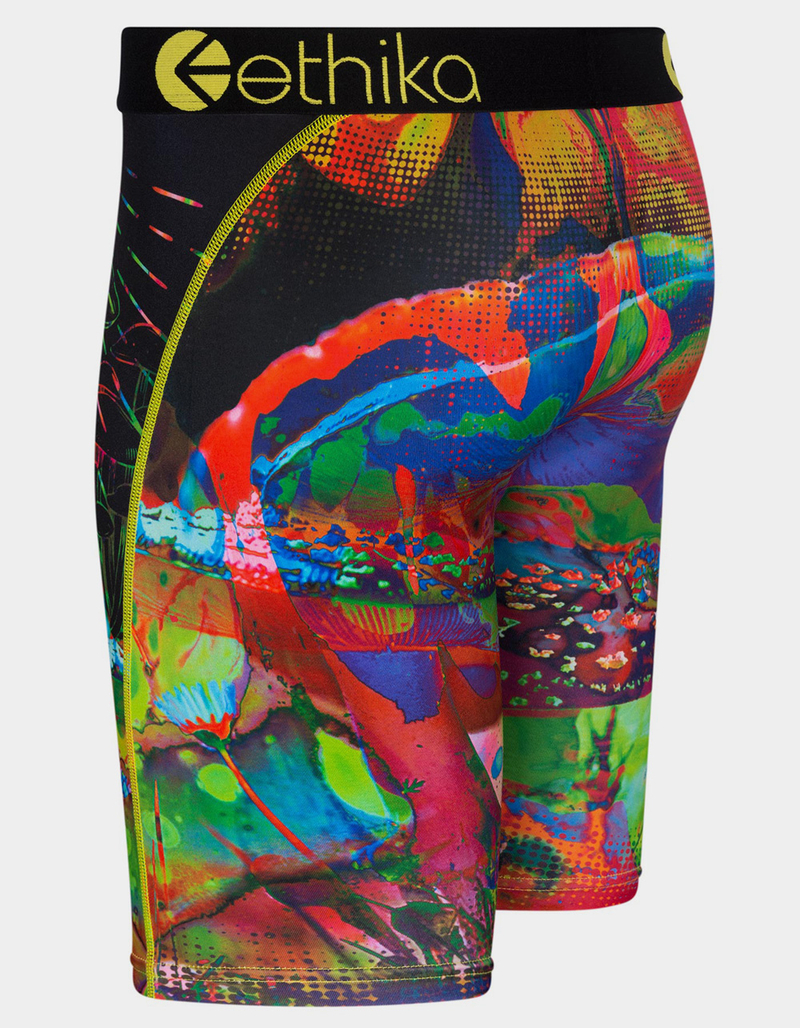 ETHIKA Far Gone Staple Mens Boxer Briefs image number 1