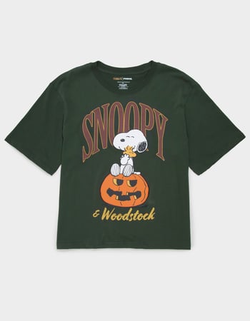 RSQ x Peanuts Together Mens Boxy Tee Primary Image