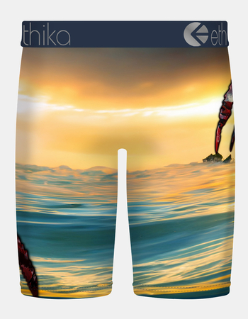ETHIKA Jaw Dropped Staple Boys Boxer Briefs Alternative Image