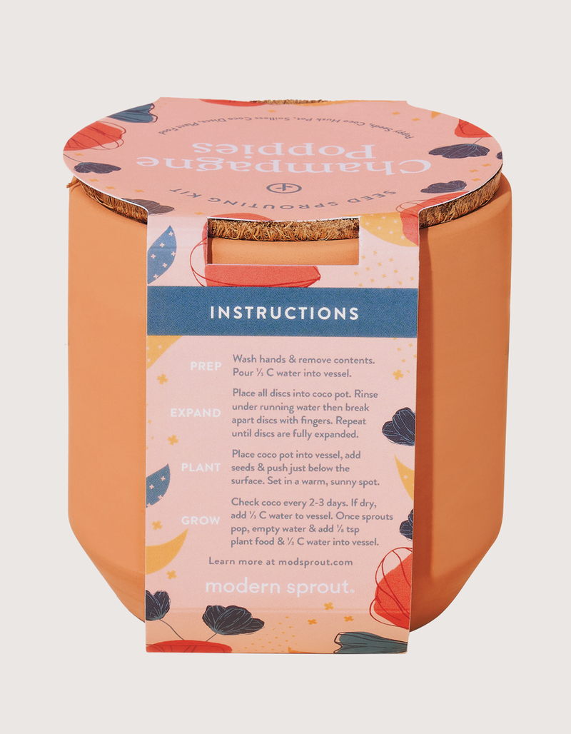 MODERN SPROUT Tiny Terracotta Kit - Champagne Poppies image number 2
