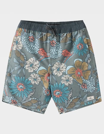 O'NEILL Hermosa Boys 16" Swim Trunks Primary Image
