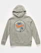 VANS Palm Script Boys Hoodie image number 2