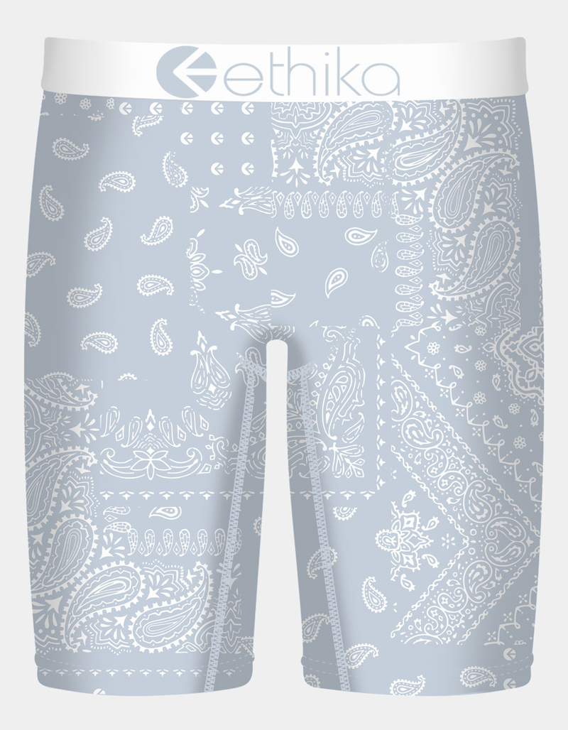ETHIKA Ice Paisley Staple Mens Boxer Briefs image number 0