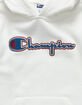 CHAMPION Felt Applique Boys Hoodie image number 2