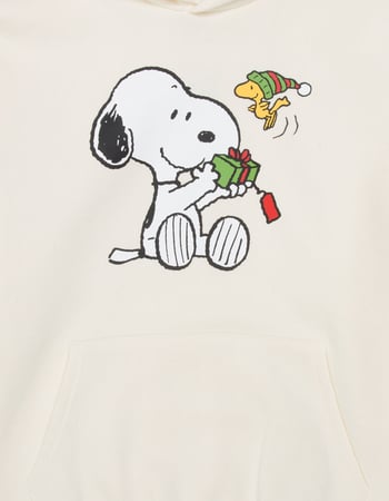 RSQ x Peanuts Gift Mens Hoodie Alternative Image