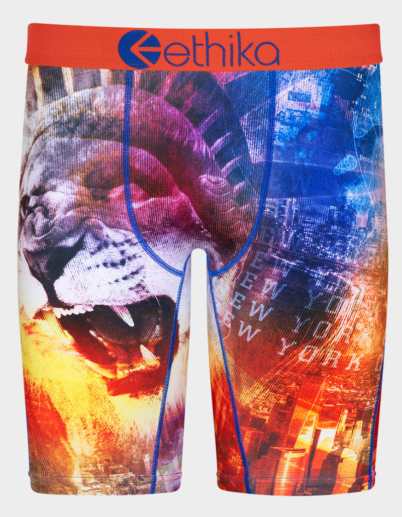 ETHIKA NY Morph Staple Boys Boxer Briefs image number 0