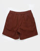 BDG Urban Outfitters Twill Mens Shorts image number 2
