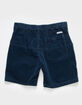 BANKS JOURNAL Big Bear Mens Shorts image number 2