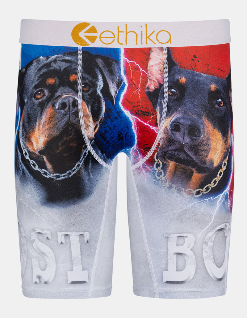 ETHIKA Lost Boys Boys Boxer Briefs image number 0