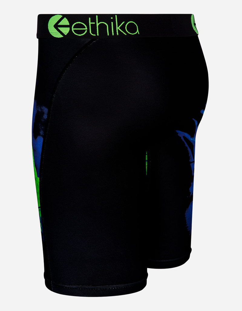 ETHIKA Green Lizard Staple Boys Boxer Briefs image number 1
