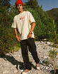 DICKIES Skateboarding Regular Fit Double Knee Mens Pants image number 1