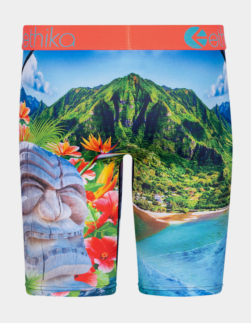 ETHIKA Island Time Staple Boys Boxer Briefs image number 2