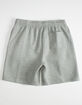NIKE SB GFX Mens Sweat Shorts image number 3