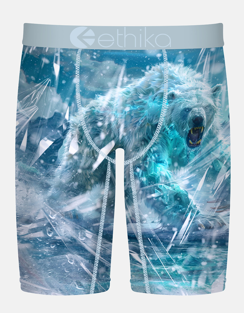 ETHIKA Polar Roar Staple Mens Boxer Briefs image number 0