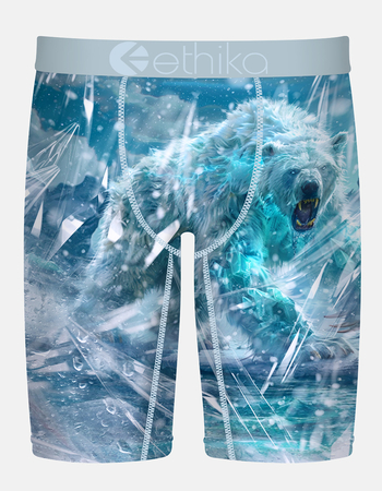 ETHIKA Polar Roar Staple Mens Boxer Briefs Primary Image