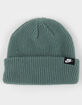 NIKE Terra Futura365 Short-Cuff Beanie image number 1