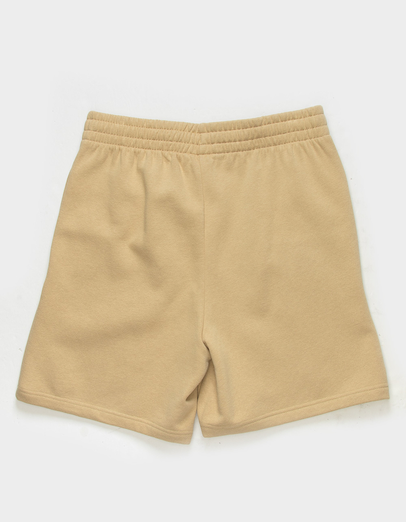 THE NORTH FACE Box NSE Mens Shorts image number 1
