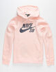 NIKE SB Icon Mens Hoodie image number 1