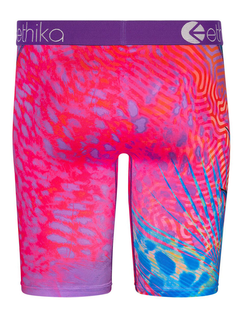 ETHIKA Bomber Paradise Boys Boxer Briefs image number 2