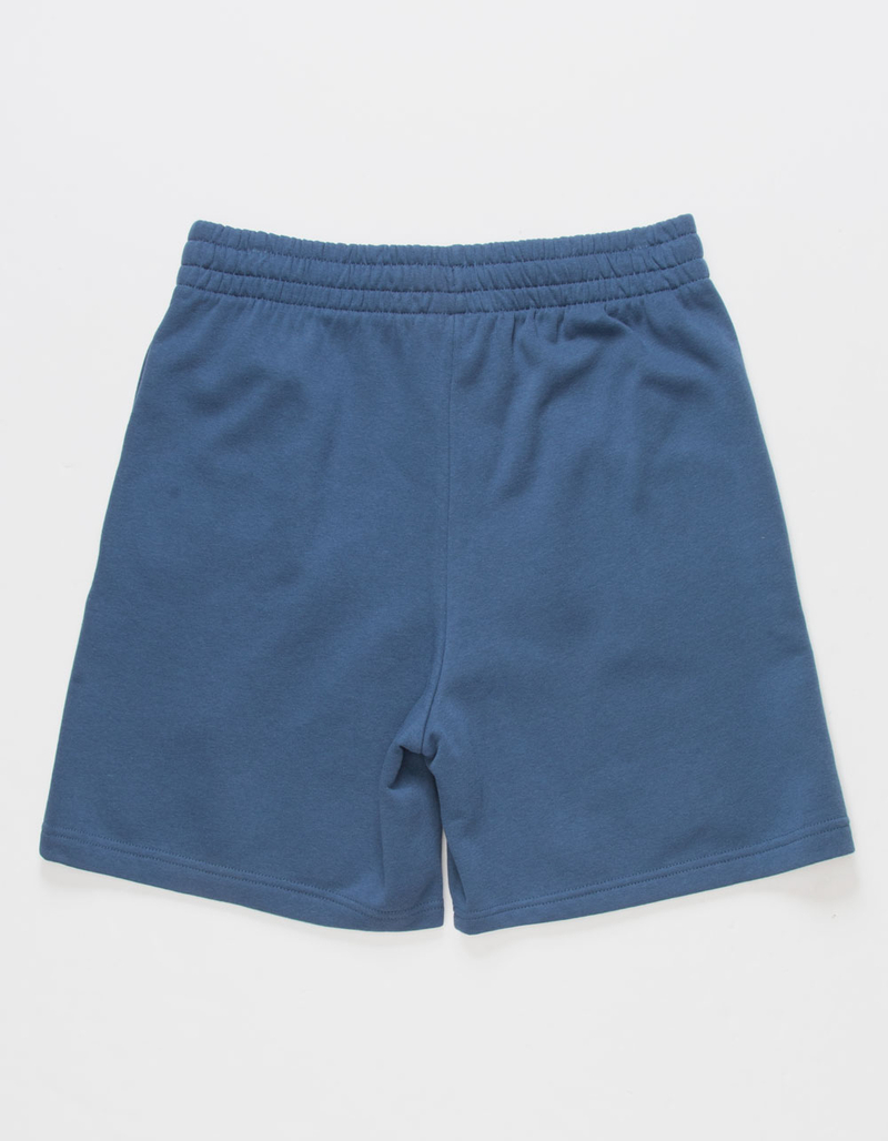 THE NORTH FACE Box NSE Mens Shorts image number 1