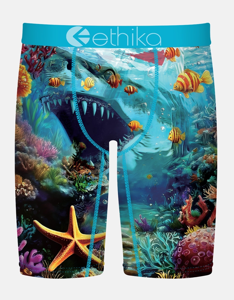 ETHIKA Shadow Tip Staple Boys Boxer Briefs image number 0