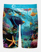 ETHIKA Shadow Tip Staple Boys Boxer Briefs image number 1