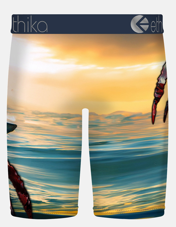 ETHIKA Jaw Dropped Staple Mens Boxer Briefs Alternative Image